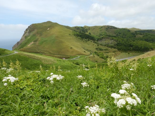 2019 6月の北海道　礼文島へ　【3】