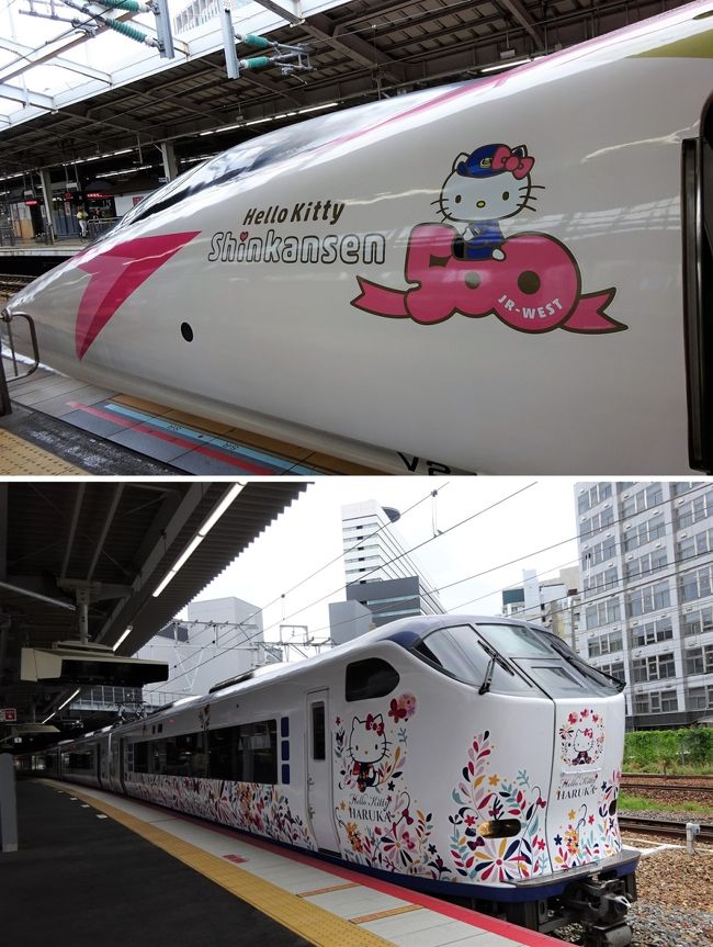 5月にJRで大阪から京都(逆も含め)まで5回、去年廃止になった昼得切符の時間帯に乗りました。半分近くポイントで戻ると言うので、どれだけポイントが入るか楽しみでした。ところが、入っていたのは560円×4の半分の半分強、660円ほどでした。千円ほど入るかなと思っていたのに、ちょっと拍子抜けです。まあ、無いよりマシですけどね。これからは、たぶん阪急で出かけると思います。京都駅周辺だけは仕方ないですが~<br />3年前に大分の友人宅へ向かったときにエバンゲリオン新幹線を見て「カッコいいー!」と思ったのに、見学しようと決めた時はすでに遅し、消え去って1週間も経っていなかったのです。ちゃんと駅のポスターを見ていない証拠です…<br />なので、次のハローキティ新幹線はしっかり見て、新幹線大好きな孫を見学に連れて行こう。予行演習をしなくてはと、同じように孫を連れて行くことを考えている京子さんと出かけます。そして、関空特急にもキティちゃんがあるから、ついでにどっちも見て、孫を連れて行くにはどう動けばいいか、シミュレーションをします。<br />グリコのオマケとして、環状線にもキティちゃんがいるから探してみてダメならフォトスポットに行こうと、欲張りな私は3つのキティちゃんが見えますように…と祈るのです。<br />そして、ミッション②、孫を連れて行っても大丈夫なのか?ちょっと時間が気になります~