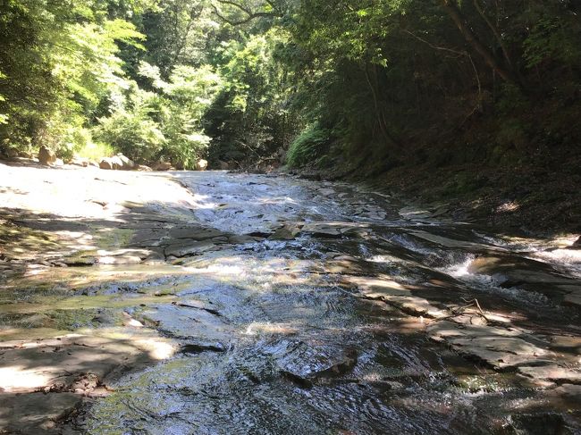 栄之尾温泉、硫黄谷温泉の温泉が流れこむ丸尾滝、全長200m、幅15mの岩盤の川床が広がる千畳敷、布引滝、霧島最古と言われる岩風呂が点在しています。丸尾滝は皆さんよく行かれるかと思いますがこちらまでは見ていないかと思います。興味のある方は是非足を運んでみてください。移動には10分もかからないかと思います。私みたいに丸尾滝の上部まで行くのもいいけど無理を覚悟で見てみるのも良いかと思います。