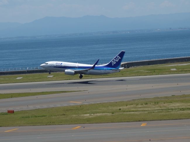 セントレアで日がな飛行機の発着をみました。いつまでいても楽しいところです。（飛行機好きでない人には，この気分は，わからなしでしょう。