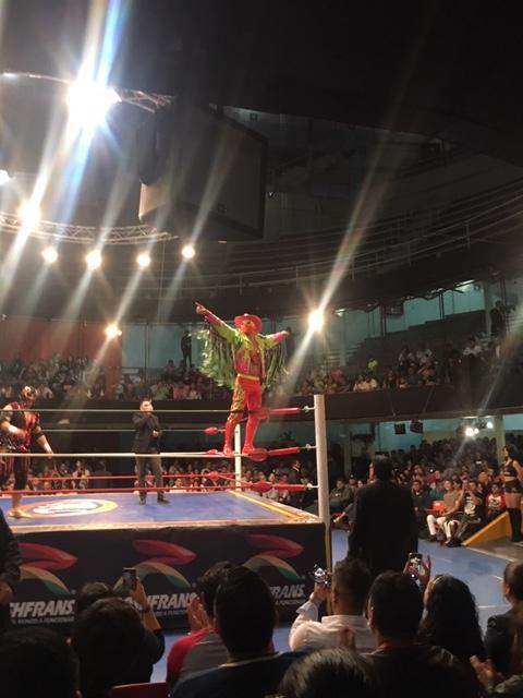 皆様こんにちは。ウォータースポーツカンクンの店長吉田です。メキシコは既に夏休みに入り、どこもローカルの賑わいを見せる今日この頃、皆さまはいかがお過ごしでしょうか?!<br /><br />さて、ジンベエも初日未遭遇以降は、100%遭遇更新をしていますが、先のブログでも書きましたように、今年はいよいよジンベエの回遊も減り始める魔の10年節にもなっていますので、今後は規制がより一層厳しくなっていくと思われますので、皆さまラストチャンスかもしれないこのジンベエとのシュノーケルを是非今年は逃さないようにしてください。<br /><br />さて、こうしていろいろと盛り上がるカンクンですが、そんな中店長は、メキシコシティ支店の方へ出張をしてまいりましたので、ご報告です。<br /><br />というわけで、店長日記いってみよっか!<br /><br />今年のカンクンは、ありがたいことにテレビの影響もあるからか、またまた忙しい日々か続いている。特に、セノーテの盛り上がりはなかなかのものがあり、今回、イッテQで紹介されたスイトゥンなどは、弊社インスタでのヒット数が倍増するなど、分かりやすい結果が出ていて興味深い。ちなみに、ここだけの話、、、スイトゥンの光が差し込む時間帯をテレビでは12:00と紹介していたが、実際あの撮影が行われたのは15:00。バラエティ番組は、情報が若干いい加減なところがあるから、注意は必要。当然ながら、季節によって光の差し込む時間帯というのは変化するから、弊社ではスケジュールを調整している。<br /><br />それにしても、時代の流れというものは物凄くて、今まではのんびりと沢山のお客様の写真などを整理しながら、少しずつ時間を見つけてアップしていたものが、今ではどんどんリアルタイムに近い状態で、インスタにアップしなければならない時代に入っている。<br /><br />マイペースなボクにはついていけないので、専属の担当に任せてはいるが、時代の流れを感じている今日この頃。<br /><br />ビジュアルに訴えるというのは、百聞は一見というように、訴求的には実に沢山のものごとを伝えることが出来るところがいいのだけれど、やはり、文字情報による知識への訴求は大切であることを、今回、シティで感じたので、ちょっと書いてみたい。<br /><br />古い親父の戯言、、、今回も長いので斜め読みしてね(笑)<br /><br />というわけで、やって来たメキシコシティ。毎月2回ほど出張でシティには行っているボクだけど、ここ最近は、ボクのルチャリブレ愛が伝播しているからか?!、ルチャリブレのお申込みが実に多い。<br /><br />これ何度も書いている事だけれど、プロレスもボクシングもどんな格闘技も、「ただ見ているだけ」では面白くもなんともない。ボクシングはただの殴り合いだし、プロレスにいたっては、単なる八百長のショーでしかなくなる。<br /><br />映像で見ても、好きな人以外は、この印象は変わらない。そう、ビジュアルだけでは伝わらない「大切なモノ」がそこから抜けているからだ。<br /><br />その大切なモノというのが、選手に関する情報であって、試合の背景にあるバックグランドだったりする。ルチャリブレなんて、只でさえマスクマンばかりで、誰が誰だか分からないから、とりあえず、メキシコに来たらルチャリブレを見に行こうとばかり出掛けても、あー、こんなもんかぁという感じで漠然とした印象だけで終わってしまう。いや、それなりに、楽しんではいく。会場の熱気とか、臨場感は映像では伝わらないから、生で観戦するルチャリブレは、それだけでかなりアツく楽しめる。<br /><br />でも、、、誰が誰だか分からないマスクマンが、リングの上で肉体をぶつけあっているだけという印象はどこまでも変わらない。<br /><br />だからこそ、大事なのが選手情報だったりする。<br /><br />出自不明のマスクマンの前職が歯科助手だったとか、、、出自不明なのに必殺技はオアハカの名前がついていたりとか、選手を知ると見え方も違ってくる。。。<br /><br />例えば、今回は久しぶりにMr.Neiblaの試合に当たったのだけれど、、この選手がどれだけレアなマスクマンなのかを知ると、試合の観戦も熱を帯びる。<br /><br />そもそも、なんでレアなのかと言えば、この選手はアルコール依存症を患っていて、何度も酩酊状態でリングに上がって失敗を繰り返し、一度はCMLLに解雇されているにも関わらず温情により復帰(もちろん、それだけの人気ルチャドールでドル箱選手だからというのもある)したのに、いきなり、酩酊状態で試合をぶち壊して、再度、条件付き解雇をされたという(次にやったら永久追放)いわくつきの選手だから(苦笑)<br /><br />しかも、、、この最後にやらかした酩酊状態の試合では、対戦相手のボラドールJrがマジ切れし、Mr.Nieblaのマスクを剥がして(本来はこれだけ有名選手のマスクをマスクマッチ以外で剥がすことはない)会場を後にするというトンデモ試合をしたのだが、今日は、このボラドールJrが対戦相手という。。。<br /><br />知れば知るほど、この試合の成り行きが気になる前振りが多く、知っているのと知らないのとでは大きな違いがあることが分かると思う。<br /><br />また、準決勝では、ダークマジックという、そのまんまアメリカ人の黒人選手が出たのだけれど、まず、そもそもこの人種差別的なリングネームからして面白いし(だって、黒人に対して、ダークマジックだぜ(苦笑)メキシコは結構こういうことは多い(苦笑)、しかも、この選手はボディビルダーでルチャドールではなく、例えば、マスクマンは出自不明の謎のレスラーが多いわけだけれど、このダークマジックに至っては、もろに顔出ししているにも関わらず、何故リングに上がっているのかという根本的な部分が謎という。。。リングネームのダークマジックというのは、つまりは、このルチャドールの存在そのものに対してつけられているのか?!と疑わんばかりの謎が謎を呼ぶ存在なのだ。。。しかもしかも、、、彼のプロフィールは本名から出身地までが全て謎ということになっているのだが、、、どう見てもアメリカの黒人だし、顔出ししているのに本名が不明ってのは、それって単純に手抜きじゃないの?!としか思えない雑な扱いなのだ(汗)<br /><br />だからと言うか、技もなく、リングの上では自慢の肉体をことあるごとにアピールするだけというマスコット的な存在で、、、相手が大技をかけようと迫るとリングの外に逃げてしまい、、、こいつは、はぐれメタルか!!とツッコミを入れたくなるほど逃げ足もはやく、更に、通常タッグマッチでは、ツープラトンやスリープラトンといったコンビネーション攻撃がメインになるのに、相方が試合を作って、ここが見せ場という大切なタイミングで全然違う方向を見ていて、相方に何やってるおい!!と怒られたりして、ボクなどは、最初の頃は何のためにいるのか、ルチャリブレを冒とくしているように思えて不愉快だったのだけれど、、、これだけ徹底していると、次はどんなポカをやらかすのかという別の期待が沸いてしまい、、、今ではお気に入りルチャドールに一人になってしまった(笑)<br /><br />そうそう、今回ご案内したのはアレナ・コリセオという、通常メキシコシティでは有名なアレナメヒコとは対照的なローカルマットの会場だったのだけど、ここは、マニアが集う会場なので、一見や観光客の多いアレナメヒコとは違う実に人間臭いルチャリブレが観戦出来る。<br /><br />言ってみれけば地下ファイトクラブのような趣で、観客との距離が近く、リングサイドに防護用の柵はなく、場外乱闘になると客席に飛び込んでくるという観客との一体感が持ち味のような場所。<br /><br />だからというか、観客もコアなファンが多く、ご贔屓ルチャドールの応援団がチャント(応援合戦)が熱を帯びるアツイ場所なのである。<br /><br />通常、皆さんご存知のようにルチャリブレというのは悪までもショーだから、善玉と悪玉に分かれて試合も悪玉が反則を繰り返しつつ、最後は善玉が勝つというストーリーが一般的なのだけれど、コリセオのようなローカルマットは、人気ルチャドールがルード(悪玉)であることも多く、アレナメヒコとは対照的に悪玉の勝率が圧倒的に高いのも特徴で、日の当たるアレナメヒコが善玉の殿堂ならば、ここコリセオは、この光り輝くリンピオ(善玉)の影の引き立て役でもあり、黒子でもあり、そして縁の下の力持ちでもあるルード(悪玉)の為のマットなのだ。。。<br /><br />だからこそ、ここぞとばかり悪玉が思う存分暴れる事が出来るのがコリセオであり、この悪玉ルチャドールの応援団が生き生きとこの選手の本当の力を楽しむことが魅力の一つになっている。<br /><br />もちろん、、、当たり前だけれど興行なので、そこには主催者側の意図もしっかりと存在していて、このコリセオで悪玉に大いに暴れてもらう事で、善玉と悪玉の因縁を作り出し、華の舞台となるアレナメヒコへとつなげるという構図もしっかりと存在している。<br /><br />例えば、、今回、メインイベントでは、爆弾三兄弟の一人であるフォレステロのマスクはがしを強行したボラドールJrが(それにしても、ボラドールJrは最近、このマスク剥がしが定番になりつつあるな(苦笑))、マイクパフォーマンスで、この日の試合の不甲斐なさを糾弾し、、、俺と一対一で勝負しろという宣戦布告をして、次につなげる展開を作っていた。<br /><br />さて、この日はとにかく、見どころが多い試合で、、、お客様にも沢山の情報を伝えさてせもらつた。<br /><br />あまりのネタバレは楽しめないと思うかもしれないけれど、ボクはルチャリブレは歌舞伎と同じで、試合の内容もそうだが、その役者(ルチャドール)を見に行くことにフォーカスした方が、より楽しめるという、、、この部分を重要視しているものだから、やはり、立体的に試合を楽しむためにも、このネタばらしは、歌舞伎の演目と同じで展開の可能性を推理する材料として渡しているという感じだ。<br /><br />なので、例えば、今回も準決勝で出て来たエチセロというルード(悪玉)について、この試合3対3になっているけど、試合の勝敗の行方を占うのは、このエチセロ選手ですから、注目しておいてくださいと伝えた。<br /><br />何故なら、このエチセロ選手、、、実に試合内容にムラのある選手で、自分が勝つ試合以外は投げやりな無気力試合をすることで有名だから(というよりボクの中だけかも(笑))<br /><br />なので、もし、今日の試合で彼が生き生きとした試合をしていたら、その試合は、エチセロ側が勝ちますから、この選手の多彩な技を見ることが出来ますよと、だから、注目しておいてくださいねと。<br /><br />実際の試合では、まー、分かりやすいくらいにハッスル状態で(笑)<br /><br />久しぶりにこんなに生き生きと戦うエチセロを見た!という感じだったので、これは勝負は見えたなと確信したわけだけど、実際その通りになり、、、お客様も試合後に、これまた店長の言った通りになって、実に楽しかったですと喜んで頂いた。<br /><br />ルチャリブレは通常は3人のタッグが多いので、どの選手に注目するかで見え方も違ってくる。このあたり、漠然と試合を見てしまうと、目まぐるしく変わっていく展開に初心者の方はついていくのが大変なので、こうして注目選手の必殺技や性向などを知識として入れておくと、より試合を立体的に楽しめるというわけです。<br /><br />ほら、歌舞伎でも最近は音声ガイドというものが人気だけれど、それと同じ感じかな。あ、ちなみに、ボクは音声ガイドを利用しないのだけれど、それは歌舞伎好きの友人が、音声ガイドはせっかくの歌舞伎の謡などの言葉が解説で遮られたりして、持ち味の臨場感が削がれるから、出来れば知識としてある程度事前に予習をしておいて、当日舞台に集中した方が楽しめるという理由からだったりする。<br /><br />だから、ルチャの試合でも極力試合中に野暮な解説はしないようにしている(笑)<br /><br />それにしても、、、ボクは、このアレナコリセオという会場が好きだ。ルチャリブレの観戦を始めたころは、派手なアレナメヒコに対して、この地味なコリセオが何故人気なのかが分からなかった。しかも、ギャラも低いであろうこの会場でのファイトに、どうして沢山のルチャドールがこんなにも頑張って出場するのかがよく見えなかった。<br /><br />しかし、長くルチャリブレを見ていると、その何故かがだんだんと見えるようになって来る。<br /><br />その理由の一つは、場所が危険なテピート地区のすぐ近くというメキシコの下町のど真ん中にあり、地元ローカルに支持された、昔から変わらないルチャリブレを見ることが出来るからだ。<br /><br />選手にとっても、華やかなアレナメヒコの舞台と違い、地元っ子の声援をより近くに聞きながら、選手と観客とが一体となって試合を作っていく感覚がより強く、また、アレナメヒコを観光客の為のショーだと嫌うマニアが、コリセオこそが本物のルチャリブレと断言する世界を味わう事が出来、更には、アレナメヒコでの因縁の試合へ向けての仕込みがここから始まるからでもある。<br /><br />いろいろな意味で、ルチャリブレの原点がここにあり、すべてがここアレナコリセオから始まるといっても過言ではない大切なモノがここに存在しているからなのだ。。。<br /><br />だからこそ、初めての方にはやはりアレナメヒコをおススメするが、もっとディープなメキシコのルチャリブレの何たるかを感じたい向きには実におすすめしたい。<br /><br />なお、場所が観光客向けではなく、夜は危険なエリアでもあるので、地理に詳しくない方には個人で行かれる事をあまりおススメ出来ないけれど、店長吉田に連絡いただければ、一番前の一列目の席確約で、安全に行きも帰りもホテルまでの送迎をつけてご案内するので、是非検討してもらいたいと思います。<br /><br />そして、何より、ただチケット手配をして連れて行くだけではなく、店長吉田が、毎回作成するその日の試合の見どころや、選手データなど、豊富な資料を差し上げているので、初めてのルチャリブレ観戦で、一気にファンになることお約束の充実した内容なっているので、ここは是非、メキシコシティに来たら連絡をしてほしいと思います(^^)<br /><br /><br />今回も久しぶりにルチャリブレ愛を語ってしまった(苦笑)<br /><br />さて、、、ルチャリブレの話ばかりしても、面白くないという方もいらっしゃると思うので、オマケとして、また少しシティ情報を紹介しよっかな。<br /><br />メキシコシティは、1519年のエルナンコルテスのスペインの植民地支配から実に600年の歴史を持つ古い都市であり、まー、アステカ時代をいれたらもっと古いのだけれど、この街にはこの植民地支配の時代に、アステカの帝都チノチテトランの上に建設された歴史的なコロニアル建造物が実に多い。<br /><br />有名なメトロポリタン大聖堂などは、建設に300年もの歳月がかかっているし、今でも道路工事などでアステカ時代の遺構が発見されることもある。<br /><br />だからこそ、お店も古くから営業をしているお店が多く、創業100年を超えるお店が未だに同じ場所で営業をしていたりする。<br /><br />今回は、そんな中の一つをご紹介する。<br /><br />店の名前は、「LA TLAXCATECA」<br /><br />場所は、グァダルーペ大聖堂のすぐ近くにあるので、弊社ツアーでご希望のお客様がいれば、ご案内も可能だから、お気軽にご相談いただきたいのだけれど、1910年のメキシコ革命時に撮影されたお店の写真が飾られているほど古い。<br /><br />何の店かって?!<br /><br />そう、カンクンでは飲むことが出来ない(←カンクンにシティ経由でいらっしゃる方ここ重要ですよ(笑))プルケを飲むことが出来るお店です(^^)<br /><br />プルケとは、テキーラの材料となるアガベを使った謂わばドブロク酒。蒸留させるとテキーラになるものを、そのまま発酵醸造するだけというのが特徴で、だからこそ、アルコール度数も5%程度と低く、ビールとそう変わらないアルコール飲料。<br /><br />アガベが材料なので、粘り気があり、酸っぱくて甘い。。。まろやかな口当たりで地元チランゴ(メキシコシティの人をこう呼びます)のソウルドリンクの一つです。<br /><br />通常、プルケリアと呼ばれるこうしたバーはシティには何か所もあるのですが、ここはその中でも有名な老舗。入ると分かりますが、メニューはプルケのみ!!(笑)<br /><br />座るとどのプルケにするかを聞かれてテーブルにドン。おつまみか何かないの?!と聞けば、あー、チチャロンがあるよ。じゃー持ってきて。いや、セルフだし、自分で取って来いよ。。。ってな感じでサービスとは何かを考えさせられるやりとりをするという。。。将に、ザ・メキシコを体験できる場所(笑)<br /><br />周りに目を配ると、どうやったらプルケでここまで酩酊出来るのか?!と思われるほどのアル中爺さん達や、どこの人間だという目でじろじろと上から下まで興味深々でガン見をされるなど、観光客スレしていない本物のローカルカンティーナ。<br /><br />しかも、写真も載せるがこの1リットルのプルケで30ペソ(180円)<br /><br />ジュースじゃなくてお酒ですからね。しかも、セルフですが、おつまみ付き<br /><br />いやーーー、安い。。。こんな値段で飲めたら、、、まぁ、アル中になるわな。。。(汗)<br /><br />そして、今回は、この日のプルケの心地よい酔いと、前夜のルチャリブレにご案内した余韻で、ルチャ(戦闘)モードに突入していたボクは、二度目のチャレンジとばかり、フードファイトに出る事に決めて、プルケで良い感じに満腹中枢をマヒさせた後、勇んでその店へと向かった。<br /><br />その食堂の名前は「TORTAS GIGANTES LA VILLA LOS NO.1」<br /><br />ずいぶんと長い名前だけれど、まー、そのまま「一番大きなトルタを出す店」という意味合い。<br /><br />トルタというのは、メキシコのホットサンドで、パンにいろいろな具材を挟むサンドイッチ。メキシコなら、どこでも、、、タコス屋ならば、タコスとは別にトルタも出すのが普通で、その日の気分でトルティーヤにするかパンにするかを決める。トルタの方がボリュームが大きくなるので、お腹が空いてがっつり食べたいときにはトルタにすることが多い。<br /><br />だが、この店はトルタ専門で、、、しかも、GIGANTESと書いてあるように巨大なその大きさで名前を売っているお店。前回は、食べきれず敗北をしてしまった為、今回はリベンジマッチとばかり酔った勢いで突撃をした(笑)<br /><br />前回は、クバーノという、もっともボリュームのあるトルタを注文したのだけれど、流石に無理だと怖気づいてしまったボクは、成功を目的に1段下のトルタを注文した。<br /><br />1段下といっても、ボリュームは変わらずその巨大さはボクの顔より大きいサイズ。。。<br /><br />出て来たトルタを見て早くも怖気づいてしまったボクは、とりあえず、写真を撮ったのだけど目が泳いでしまっていた(汗)<br /><br />そもそも、この店に一人で来店する輩はそういない。。。皆、カップルや多人数で訪れて一個をシェアして食べるのが普通。でも、一人で一個を食べてしまうツワモノはいるわけで、ボクも前回の雪辱を果たすべく、いよいよ取り掛かる事にした。<br /><br />さて、、、結論から先にいうと、今回も敗北した。。。(汗)<br /><br />そもそも、肉だけで500g以上詰めこまれ、更にチーズやアボガドなど、これでもかと挟まれているサンドイッチは、半分も食べると飽きてしまう。。。そして、中途半端に食べて残すのももったいないという貧乏性が頭をもたげ、、、あと頑張っても一口二口が限界なら、、、潔く諦めてのこり半分は持ち帰ろうという、、、実に単純な結論にいたってしまった(汗)<br /><br />もちろん、この残りの半分はこの日の夕食になったのは想像に難くない。。。<br /><br />で、このトルタは一個80ペソ。。。480円ほど。安いでしょう? これで昼夜二食分、大食らいのボクでそうなので、普通ならカップル男女二人で二食分です(笑)<br /><br />そう考えると、実にリーズナブルだと分かると思います。<br /><br />シティはカンクンでは見つけることが出来ない面白くも興味深い、、、今日日、観光客スレしていないお店など見つけることが困難な時代に、本物のローカルの世界が守られているスポットが沢山ある。ガイドブックには載っていないこうした地元っ子の生の情報に基づいたスポットこそ、魅力あふれる場所であることが多いので、これからもちょくちょくご紹介をさせていただきたいなぁと思います。そして、また、是非シティ経由でいらっしゃるお客様がいましたら、弊社メキシコシティにも支店がありますので、お気軽に店長吉田までご相談ください。現地スタッフ以外にも、ルチャリブレの場合は、店長吉田がはせ参じる事も多いので、一緒に盛り上がりましょう(笑)<br /><br />というわけで、今回は長文になってしまいましたが、皆さまの素敵な一日をお祈りいたしております。<br /><br />店長吉田でした<br /><br /><br /><br />