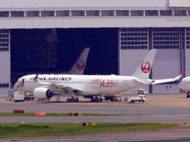 早く乗りたいJAL A350♪着陸の時に旧政府専用機と並んでたので、急いで展望デッキに行ってみたけど、ハンガーに入ってしまった後でした