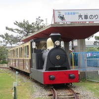 阪堺電車に乗って天王子から浜寺公園に行きました