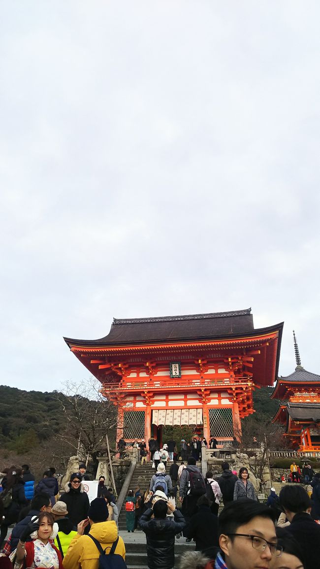 年越しを名古屋で、年始は京都へ!<br />急遽、京都の友人が時間があるとのことだったので、名古屋から京都までいって、欲張りな観光してきました。