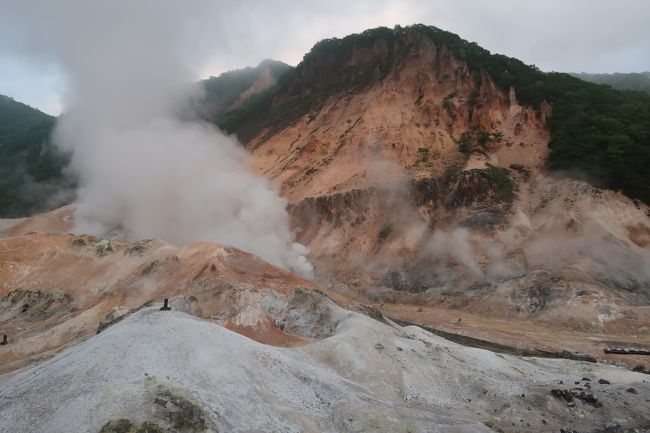 久々の北海道へ行ってきました。といっても、親戚訪問がメインなので、今回の旅行記はホテルステイのみです。sukeco家族の帰郷は約2年ぶり。何といっても北海道での列車移動が大変・・・。はぁ~、ペーパードライバーじゃなければってこの時ほど思ったことはありません(笑)。親戚たちと、わいわい賑やかに過ごせてsukeco両親もsukecoも大満足!!!。それにおいしいグルメもいただけて北海道を大満喫(笑)♪。では、今回は、「登別温泉 第一滝本館に宿泊!」編です。<br /><br /> <飛行機><br /><br /> JAL 羽田ー新千歳 往路 エコノミー<br /> 復路 Jクラス (sukeco父のみANA)<br /><br /> <宿泊先><br /><br /> 6/14 登別温泉第一滝本館 東館<br /><br /> 6/15 札幌プリンスホテル ロイヤルフロア<br /><br /> 6/16 ANAクラウンプラザホテル千歳 デラックスツイン<br />