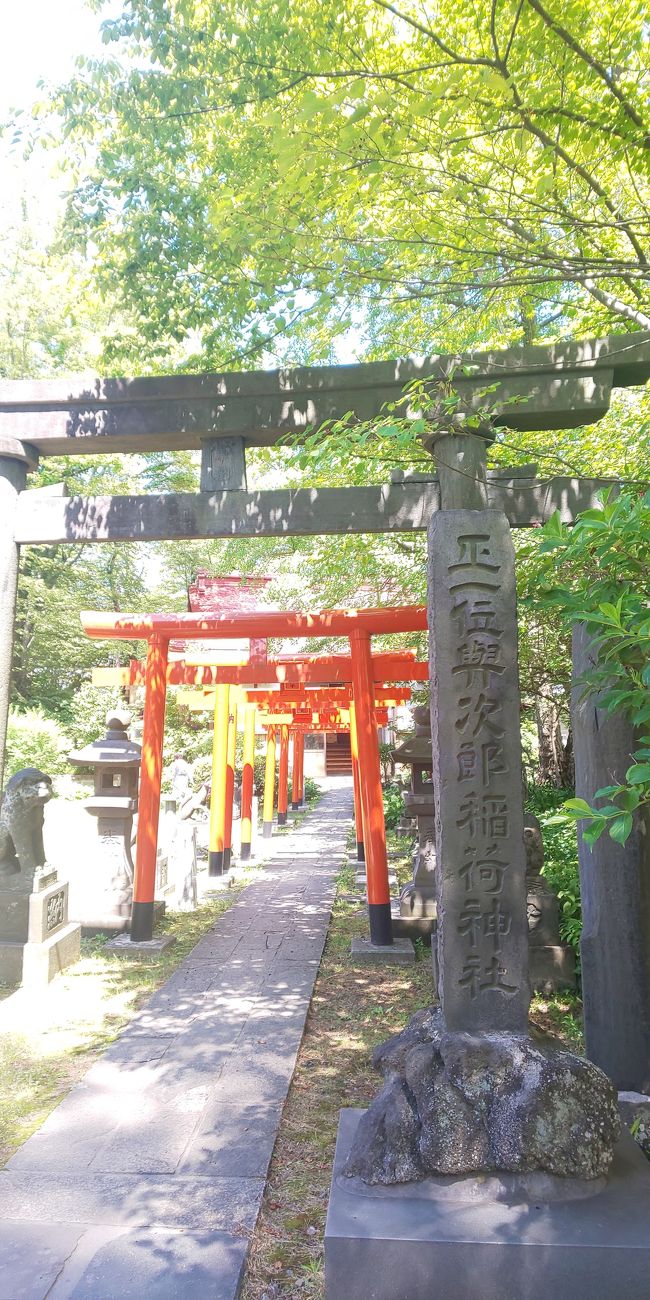 急遽の秋田。<br />朝一で時間がほんの少しあいてしまい……。<br />駅前の案内を見ると「久保田城」の文字が。<br />どんなところだろう？とさっそく検索、ほんの10分ほどでいけそうなので、タイムリミット30分！という中でちょっとだけ見に行ってきました。