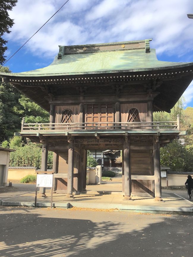 2017年11月、東京・国分寺市にある武蔵国分寺の遺跡を見てきました。<br /><br />北府中の駅から武蔵国分寺の遺跡まで歩き、歴史を感じる一帯を散策。<br />そこからお鷹の道に入り、東へ向かって国分寺駅近くまで歩きました。<br /><br />武蔵国分寺の跡地にはすでに建物はなく、ほぼ更地になっています。<br />平坦な空き地の各所に、当時の建築物の跡が見られました。<br />その北には、移築した建物が立ち並ぶ一角が隣接しています。<br />遺跡の東にあるお鷹の道には、真姿の池湧水群がありました。<br /><br />駅前は再開発が進み、タワーマンションが建っています。<br />遺跡や湧水地はそこからほど近い場所にあります。<br />この振り幅の大きさはすごいなと思いました。<br />
