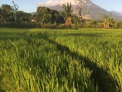 ルソンの富士？もっと美しいかも。マヨン火山を堪能。