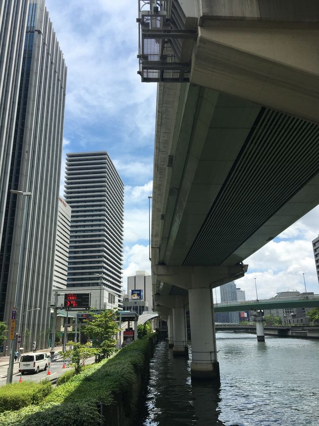 6ヶ月ぶりの大阪出張。<br />仕事とはいえ、大阪に行けるのは嬉しい。<br />G20と重なっているので、少し心配したが公共交通機関は正常運転だった。<br />久しぶりの大阪だったので、大阪好きの愛方も同行。昼間は一人で京都・大阪を観光。<br />無事仕事を終え十三で待ち合わせ。<br />夜は行きつけの店巡りで締めくくり。