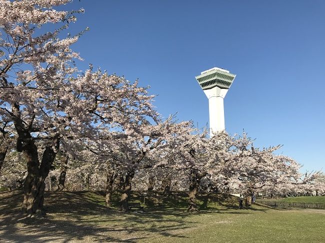 ＧＷがせっかくの10連休なので、お花見をしに函館の有名な花見スポットまで日帰りドライブへ行って来ました。<br />この時期の函館へ向かう国道は渋滞することで有名なので、渋滞を回避するために早朝(夜中)に札幌あたりから出発。<br />おかげで滞りなく目的地へ到着でき、気持ちのいい朝の空気の中でお花見を楽しむことが出来ました。<br />ついでに朝市を少し散策し、立待岬で景色を楽しみ、２つめの目的であるラッキーピエロで食事をして帰宅。<br />あまりの混雑ぶりに、「もう二度とＧＷ中はラッキーピエロにはいかない。。。」と誓った日帰り旅行になりました(笑)<br /><br />何はともあれ、もう数えきれないくらいの再訪になる函館ですが、やっぱり楽しかったです。