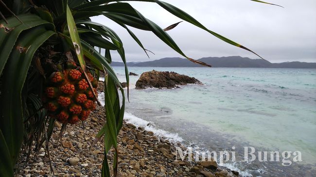 初の鹿児島、奄美大島へ２泊３日の旅。<br />今年の初泳ぎは奄美で！と期待していたのに、梅雨＆台風の影響で雨ばかりでした～･･･<br />１日目の夜から帰る日までの旅記録です。<br /><br />到着から１日目の旅行記は　↓<br />https://4travel.jp/travelogue/11510379