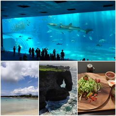 ★【人生初の沖縄】一人旅でレンタカーを使わずに巡る（後編：美ら海水族館、漫湖、嫁ニー、万座毛など）