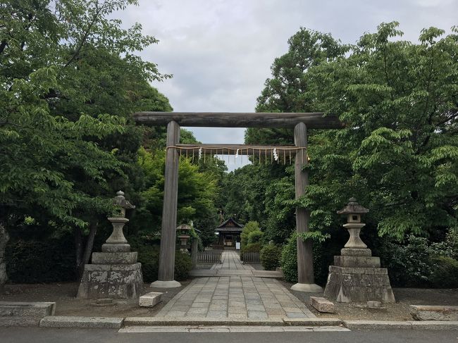 姪っ子が京都に来た際のアクティビティとして出かけたグラウンドゴルフと、ご近所エリア散策の様子です。
