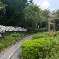 シンガポール訪問記 2019年5月 ホテル滞在とボタニックガーデン（植物園）。