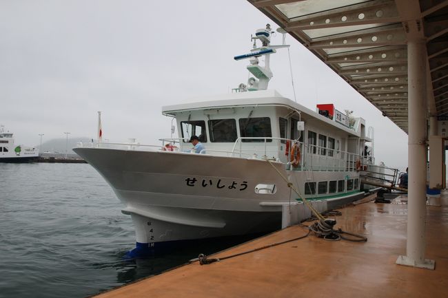大島<br />高松港の西にそびえる屋島、その先の瀬戸内の海に浮かぶ島が大島です。この島は、2010年から瀬戸内国際芸術祭の会場となっています。この島は緑の松林に覆われた美しい島です。ただこの島の歴史の中において、非常に特殊な事情が含まれている。ここはそんな島でもあります。<br />国立療養所大島青松園、大島には、ハンセン病患者の隔離施設がありました。ここには多くの患者が家族や身寄りから隔離され、世間から隔絶された世界での生活を強いられていました。この政策は1996年まで続きました。ハンセン病は、明治時代(明治40年:1907年)にできた法律によって感染者が隔離される政策が長年続けられてきました。ハンセン病は、ライ菌の感染による病気で末端神経が犯される病気です。この病気に感染すると、神経の麻痺によって指が動かなくなったり、失明したり、さらには見た目にわかる体の変化が症状として現れました。こと顔に現れる見た目の変化によって世間から疎まれ、感染防止の観点で徹底した隔離政策が敷かれることとなりました。このため、この病気に感染した人は、当時家族から縁を切り、強制的に隔離施設へ収容され、患者同士での共同生活を強いられることとなりました。<br />この病気、現在では治療薬もあり、完治することができる病気です。この島に今もいる入所者の方々も病気は完治しており、感染することはありません。ただ、この島の入所者の方々は、長年にわたり有効な治療も受けられなかったことから後遺症が残り、さらには家族と縁を切ったまま長い年月が経過していることもあって、郷里へ帰ることもできないなど、さまざまな事情により、この島に今も留まっておられます。<br />このような歴史を持つ大島、2010年からこの島での展開を始めた芸術祭を機に、島外からこの島を訪れる人が増えることとなりました。また島の案内を行ったり、島のカフェを運営したりするこえび隊の人たちなど、この島の入所者の人々にとっても外部との交流ができる機会が増えていくこととなりました。<br />これによって、入所者の方々の笑顔や元気がまたひとつ増えているじゃないでしょうか。<br /><br />大島のアート作品については、愛知造形大学のOBや学生さんが中心となって2010年の芸術祭に際し、その数年も前から島の入所者の方々との関係性の構築などに尽力されました。こういった島との歴史もあり、今の関係性が成立しているんじゃないでしょうか。<br />大島の芸術作品、これらは島の歴史や自然、入所者の方に寄り添った作品が展開されています。これは、瀬戸芸の特徴でもあるサイトスペシフィックアートそのものなのです。<br />