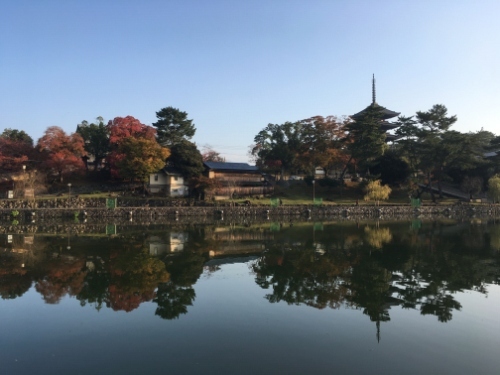 年に一度の正倉院の宝物の展示。<br />東京には来ない貴重な展覧会。ちょうど休みが取れたので行ってみることにしました。<br /><br />人の多さにびっくり。みんな好きなんですねー<br /><br />ついでに、バスや電車を利用して、伊勢神宮と高山、白川郷と秋の紅葉旅も楽しんできました。だいぶ豪遊しましたー