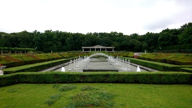 　東京都神代植物公園へ行ってきました。ここは、薔薇が有名です。雨上がりの植物公園をゆっくりお花を見ながら歩きました。