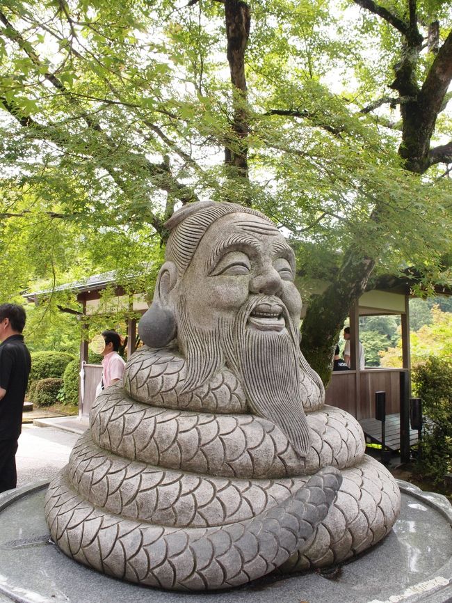 今年は梅雨がないまま夏が来るのかと思ったら、もう6月も末になった頃ようやく梅雨前線が北上してきた。<br />紫陽花は時期遅れになっちゃいましたが、湿度最高潮の中、宇治の三室戸寺へ行ってみました。