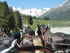 スイス花とハイキングの旅ロゼック谷馬車の旅２