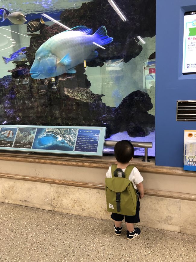 出発3日前に決めた沖縄旅行