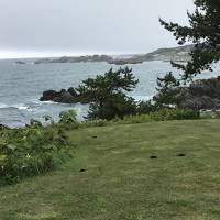 梅雨時でも楽しい！　大人の休日?楽部パスを使って