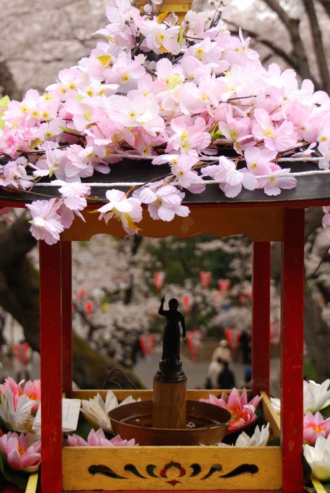 花まつり（4月8日）にお花見に行った時の旅行記です。