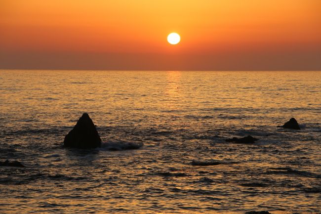 越前海岸にある水仙ランドにて、夜間にイルミネーションがあるとのことで、ドライブがてら行ってみることにした。