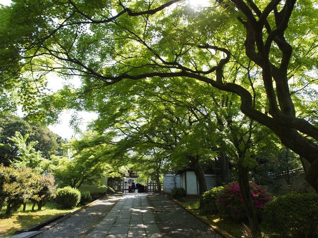 新緑の京都　三日目【１】洛陽三十三観音霊場巡り・城興寺と血天井の養源院、お不動さんの法住寺、豊国神社、方広寺、京都の大仏の跡をたどって