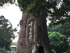 中国深セン：青青世界再訪・・香港から日帰りでも楽しめちゃう！