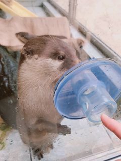 伊豆に来たけどダイビング欠航でのんびり下田観光（後編）