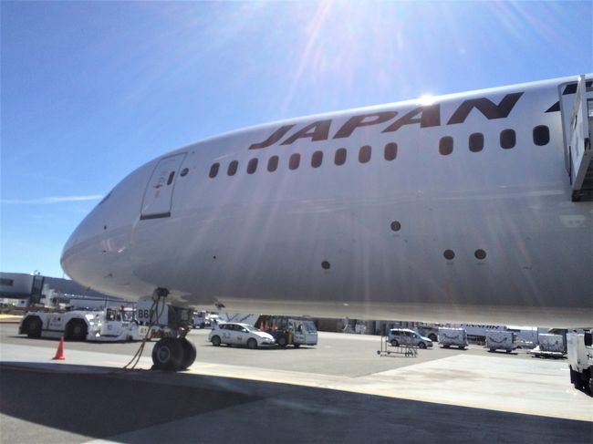色々準備した今回の旅。<br />いよいよ初日!<br /><br />成田空港のラウンジではお酒・お酒・お酒!<br /><br />そして飛行機ではプレエコ最前列を予約していたけど、<br />この席、どうだったか・・・<br /><br />ヘルシンキ到着まで、ご一緒におつきあいください!<br /><br /><今回の旅について><br />旅のきっかけはちょうど1年前。<br />友人とヘルシンキマラソンを走った後、ストックホルムへ。<br /><br />市庁舎のレストランでノーベル賞受賞祝賀晩餐会の<br />メニューを食べた後、ストックホルムマラソンの垂れ幕が!<br /><br />その時、二人とも思った!<br />「ここが走れるなんて素敵だね!来年走りたいね!」って。<br />そして帰国後、ストックホルムマラソンを走る旅の計画がスタート。<br /><br />友人も私もJALが大好き。<br />JAL特典航空券でまず往路ヘルシンキ便が決定。<br /><br />ヘルシンキ⇔ストックホルム間の移動は後で考えるとして、<br />他にどこへ行こうかな?<br /><br />いつかヘルシンキ→サンクトペテルブルクへの国際列車に<br />乗りたいと思っていた♪<br />モスクワのボリショイ劇場で本場のバレエ・オペラが観たいな♪<br />本場のボルシチ・ピロシキも食べたいな♪<br /><br />どんどんロシアへの夢が膨らんでいく・・・<br />それならロシアに行ってみよう!<br />JAL特典航空券で復路モスクワ便が決定。<br /><br />マラソンとロシア、両方主役の旅♪<br /><br />ストックホルムは2度目だけど、ロシアは初。<br />自力でビザを取得し、列車・ホテル・劇場チケット等はネットで予約。<br /><br />ロシア入国審査やモスクワのホテル変更等、ドキドキな場面もあったけど、<br />マラソン当日以外は全部晴天(笑)だったし、今回も楽しい旅でした!<br /><br />前回の北欧旅行に引き続き、今回も私の欲張りな企画に<br />「ミステリーツアーみたいで面白いよ!」って言って<br />全てお任せで一緒に行ってくれた友人に感謝です(^^)<br /><br /><旅行日程><br />【ストックホルム】<br />★5/30 成田10:40→ヘルシンキ14:50 JL413<br />ヘルシンキ20:25→ストックホルム20:25 AY819<br />5/31 世界遺産ドロットニングホルム宮殿、マラソンエキスポ、ノーベル博物館<br />6/1 モーニングラン、ストックホルムマラソン12:00(42.195km)<br />6/2 グランドホテル「ベランダ」のスモーガスボード<br /><br />【ヘルシンキ】<br />6/3 ストックホルム8:30→ヘルシンキ10:30 AY802<br />「かもめ食堂」のロケ地へ<br />ヘルシンキ16:00→サンクトペテルブルク19:27 国際列車アレグロ2等<br /><br />【サンクトペテルブルク】<br />6/4 モーニングラン(7.3km)、エルミタージュ美術館、運河クルーズ、バレエ「ジゼル」(ミハイロフスキー劇場)<br />6/5 「罪と罰」の舞台へ、夜のエルミタージュ美術館<br /><br />【モスクワ】<br />6/6 サンクトペテルブルク9:10→モスクワ13:05 サプサン1等<br />6/7 クレムリン、メトロポールのティーセレモニー<br />6/8 モーニングラン(1km)、メトロポールの朝食、オペラ「カルメン」(ボリショイ劇場)<br />6/9 モーニングラン(1km)、クレムリン(ダイアモンド庫・武器庫)<br />6/10 モーニングラン(4.7km)、モスクワ17:15→<br />6/11 成田8:35 JL422