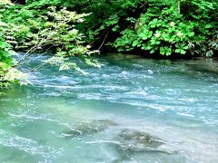 三泊四日　東北旅行　一日目　八甲田ロープウエイ　蔦沼　奥入瀬渓流ホテル泊