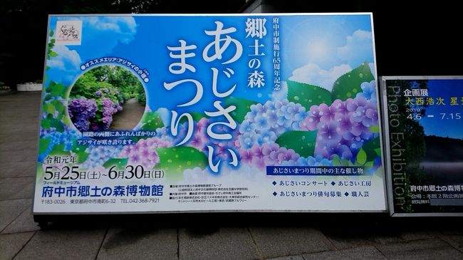 府中市郷土の森で6月30日まで開催されていました、「あじさい祭り」に行ってきました。実は、あじさいを見に行きました。大きな公園なので、たくさんのあじさいが咲いていました。