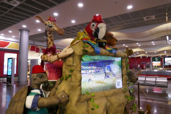 「バオバブ」が見たくて、ツアー申込しました。<br />おひとり様参加歓迎の為、15名中9名が一人参加でした。<br />当初モーリシャスは乗り継ぎ地の予定でしたが、宿泊することになり一泊増えました。<br />料金そのままなので、得した?気分・・。<br />関西空港深夜発なので、9日間みたいな感じです。<br />鹿児島・山口・香川・静岡・富山等遠方の各地からの参加者も居て楽しいです。