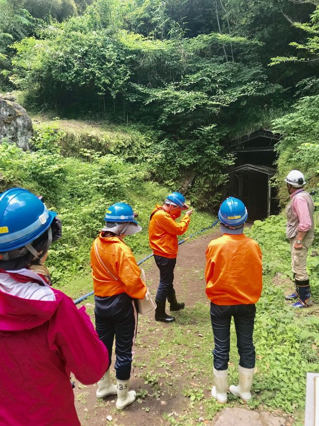 玉造温泉から高速道路経由で世界遺産の石見(いわみ)銀山に向かいました<br /><br />世界遺産センターに到着して予約名をいって参加証を受け取り、集合時間になると大久保間歩(まぶ)の坑道を案内してくれるガイドのおじさんが、センター内の資料を色々と事前に説明してくれます<br /><br />ロビーにはたくさん人がいたので定員の20名かと思いきや、私ら二人と若い女性の3名のみでした<br /><br />バスの乗るときには2名増え、坑道の入口近くまで行き、小屋で長靴、ヘルメット、ヘッドライトを借りて装着します<br /><br />外気は27℃くらいでしたが、今日の坑道内は10℃ということで、私らは持参のゴアテックスのジャンバーを着ましたが、あとの3名はセンターで借りたものを着ていました<br /><br />トンネルに入ると真っ暗に近くて、目が慣れるまで足元もよく見えません<br /><br />しかも水たまりの岩場もあるので、そろりそろりと歩く感じで進みます<br /><br />坑道の切削跡が見られる場所では色々と解説をしてもらいますが、昔は灯油の明かりだけで仕事をしたらしく、しかも手作業で地道に掘り進んだわけで、すごいの一言でした<br /><br />当時は世界でも3本の指に入る銀の採掘量だったそうです<br /><br />2時間弱のツアーを楽しんだら、銀山で栄えた大森の街並みに移動し、まずは割子そばでランチタイム<br /><br />小さな街ですがとても雰囲気があり、懐かしい時代の空気が流れていました<br /><br />メインの通りにある、ドイツで製パンマイスターを取得した店主がやっているHIDAKAに入ってみると、私の大好きなラウゲンロールが「おやつスティック」という名で焼きたてができたばかりで、プレッツェルと共に早速買って食べながら歩きましたが、美味しかったー!!<br /><br />最後は五百羅漢のあるお寺に行きましたが、ちょっと不気味な顔の羅漢が多く、京都の愛宕念仏寺の羅漢の方が可愛げがあっていいです<br /><br />益田に向けて出発し、途中の海岸線が綺麗なところでは休憩しながら、益田駅前でレンタカーを返却し、JR山陰線の各駅停車で東萩駅に向かいました<br /><br />駅のすぐ横のホテルにチェックインし、中にある居酒屋で予約していた夕食となりました<br /><br />まあ値段なりのコースでしたが、またまた萩の日本酒飲み比べセットが楽しめました<br /><br />食事の間にホテル内のコインランドリーで最後の洗濯もできたのはありがたかったです<br /><br />翌日は博多に移動しました<br /><br />=============<br /><br />リタイア前に属していた団体の役員旅行に伊丹空港から合流させてもらい、北海道の豪華温泉旅館を巡る2泊3日の旅からスタートし、初日は札幌ビール園でランチの後、登別温泉「滝乃屋」泊<br /><br />2日目はニッカウイスキー余市蒸溜所工場見学、積丹半島、小樽市内観光の後、昔のニシン御殿を移築した料亭旅館「銀鱗荘」泊<br /><br />3日目は苫小牧ときわスケートセンターにてカーリング体験をした後、団体とは別れてJRで函館に移動し、五稜郭から夕景を眺めて駅前のビジネスホテル泊<br /><br />翌日は新幹線で青森へ下り、青森「深浦温泉」 → 秋田「男鹿温泉」 → 岩手「平泉温泉旅館」 → 松島を経て福島「仙台」 → FDAにて出雲空港に飛び、レンタカーで出雲大社を経て島根「玉造温泉」 → レンタカーで石見銀山を経て益田からJRで山口「東萩」 → 萩を観光後、福岡「博多」 → 九州新幹線ミッキーマウス号にも乗車して佐賀「吉野ヶ里遺跡」をみてから、再度ミッキーマウス号にも乗車して「鹿児島中央駅」に帰着しました<br /><br />北海道から鹿児島までトータル10の道、県を南下しての日本縦断の旅となり、国内旅行では過去最長の長旅でしたが、3日に一度はコインランドリーで選択するようにして、できるだけ少ない荷物で旅行しやすく工夫をしました<br /><br />最初の北海道旅行は豪華旅館で贅を尽くした美味しい料理と、素晴らしい旅館でしたので、結構な費用がかかりましたが、二人になってからは、もともと少食のため、夕食付きのところは一番料理の少な目のものを予約していました<br /><br />移動は新幹線は自由席、他はローカル線のJRが主体で、レンタカーも乗用車の一番安いものを利用しましたので、二人になってからの旅行総費用と最初の3日間が同じくらいで済みました<br /><br />本来は、フルムーンパス12日間を購入予定でしたが、苫小牧駅で買おうとしたら3日前に発売が終了していたため、その都度個別に切符を購入して行きました<br /><br />フルムーンパスのようにグリーン席は利用できませんでしたが、トータルでは個別に買った方が安かったです<br />また平日が多かったので、新幹線の自由席もそれほど混雑せず、どの路線でも余裕で座れました<br /><br />それぞれの滞在地での旅行記は別途にアップして行きます