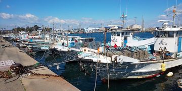 日間賀島へフグを食べに行く③～島内散策編