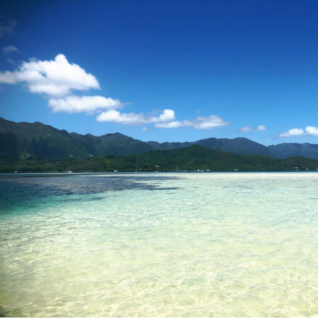 2019.06.04～09の4泊6日で、<br />ハワイ オアフ島に行ってきました^ ^<br /><br /><br />旅行中はずっと快晴！で、<br />綺麗な海も空もたくさん満喫できた旅でした♪<br /><br />…<br /><br />その①は、出発から翌日のモアナルアガーデンまで。<br /><br />公共交通機関を駆使して（笑）<br />念願の『この木なんの木気になる木』を<br />見てきました^ ^