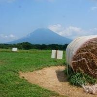 19'8月夏。一年に一度のお楽しみ「積丹うに」&羊蹄山を臨む夏のニセコと京極旅行記♪宿泊は２家族も泊まれる「ラマットニセコ」へ☆