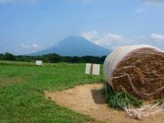 19'8月夏。一年に一度のお楽しみ「積丹うに」&羊蹄山を臨む夏のニセコと京極旅行記♪宿泊は２家族も泊まれる「ラマットニセコ」へ☆