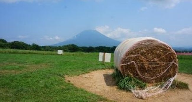 19'8月夏。一年に一度のお楽しみ「積丹うに」&羊蹄山を臨む夏のニセコと京極旅行記♪宿泊は２家族も泊まれる「ラマットニセコ」へ☆