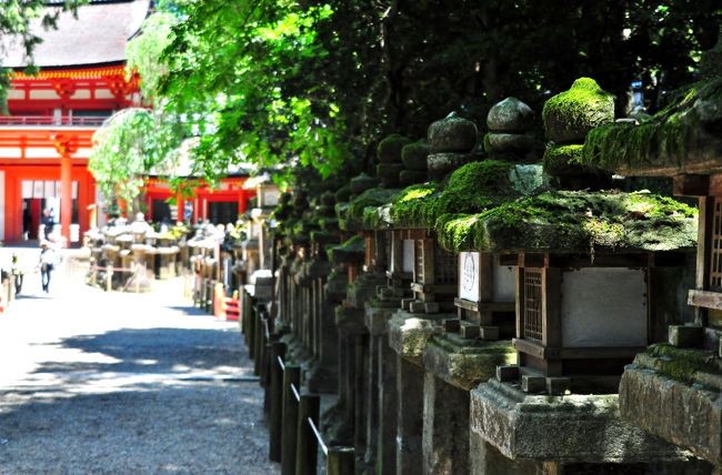 京都での結婚式は三度目。<br />今回は趣向を凝らし、高速バスの夜行便を使って京都へ行こうと考えた。<br />京都まで11時間かかるらしいけど、トイレ付で、カーテンを閉めれば個室になるシートは、なかなか快適。<br />これで、1人¥9,300はお得!<br /><br />京都の姪や甥のおかげで、毎回素晴らしい時間を過ごせ、観光もできて感謝感激!<br /><br />