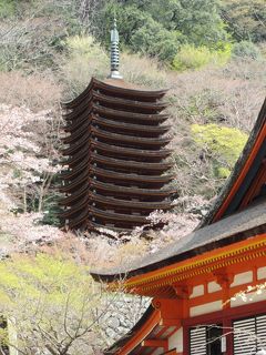 平成最後の月に訪れ、令和に記す紀州・大和路の旅　５日目その１　～　談山神社　～