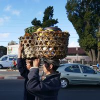 神秘の島マダガスカル、アンタナナリボ