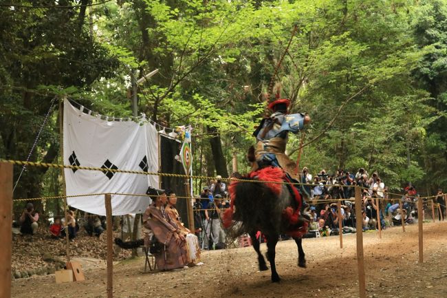 流鏑馬を見に行くツアー<br />流鏑馬なんて、今もやっているんだ。一回見れたらいいなあと思って参加させていただきました。<br />武生インターの近くの指定された駐車場に愛車を置き、バスに乗り込みました。<br />まずは腹ごしらえで琵琶湖ホテルへ行き、ランチです。<br />そして、近江神宮へ行き、流鏑馬見学。<br />最後はラコリーナで自由時間。<br />そして、バスで愛車のところまで連れて行っていただき、ツアーでご一緒させていただいた皆さんと別れ、帰宅しました。