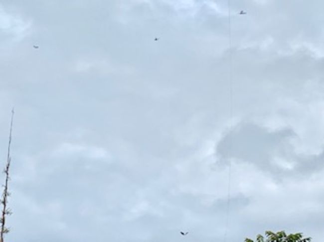 バリ島の空に浮かぶたくさくさんの物体。<br />凧上げシーズン真っ盛りです！<br /><br />最近、空を見上げるのたくさんの大きな凧があちこちに空高く舞い上がっています。<br />心地良い、強めの風が吹く季節ですので、凧上げにぴったりです。<br /><br />凧上げ大会も行われたり、最近は電気でピカピカ光る凧も見かけます。<br /><br />これからのバリ島はとても爽やかで、気持ち良い風が感じられる過ごしやすい季節ですね！<br />朝晩は肌寒く感じます。<br />乾季に入っているのですが、まだ雨が降ります。<br />ちょっと季節がおかしくなっているような感じがします。
