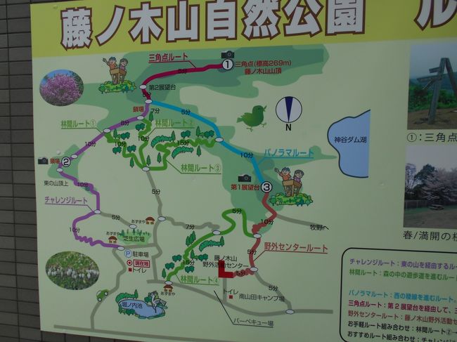 姫路市の北にある公園です。広々とした自然が豊かなところです。植物観察の名人について観察してきました。