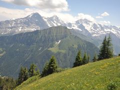 スイス花とハイキングの旅4回目のシーニゲプラッテ