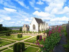 おとぎの国のようなアンジェ城♪ハーブがいっぱいメディエヴァル庭園♪根性花♪2019年５月 フランス ロワール地域他８泊１０日(個人旅行)８６