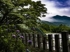 曇り空の下の水中華