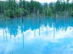 日帰り北海道旅行～絶景とグルメを求めて大移動～